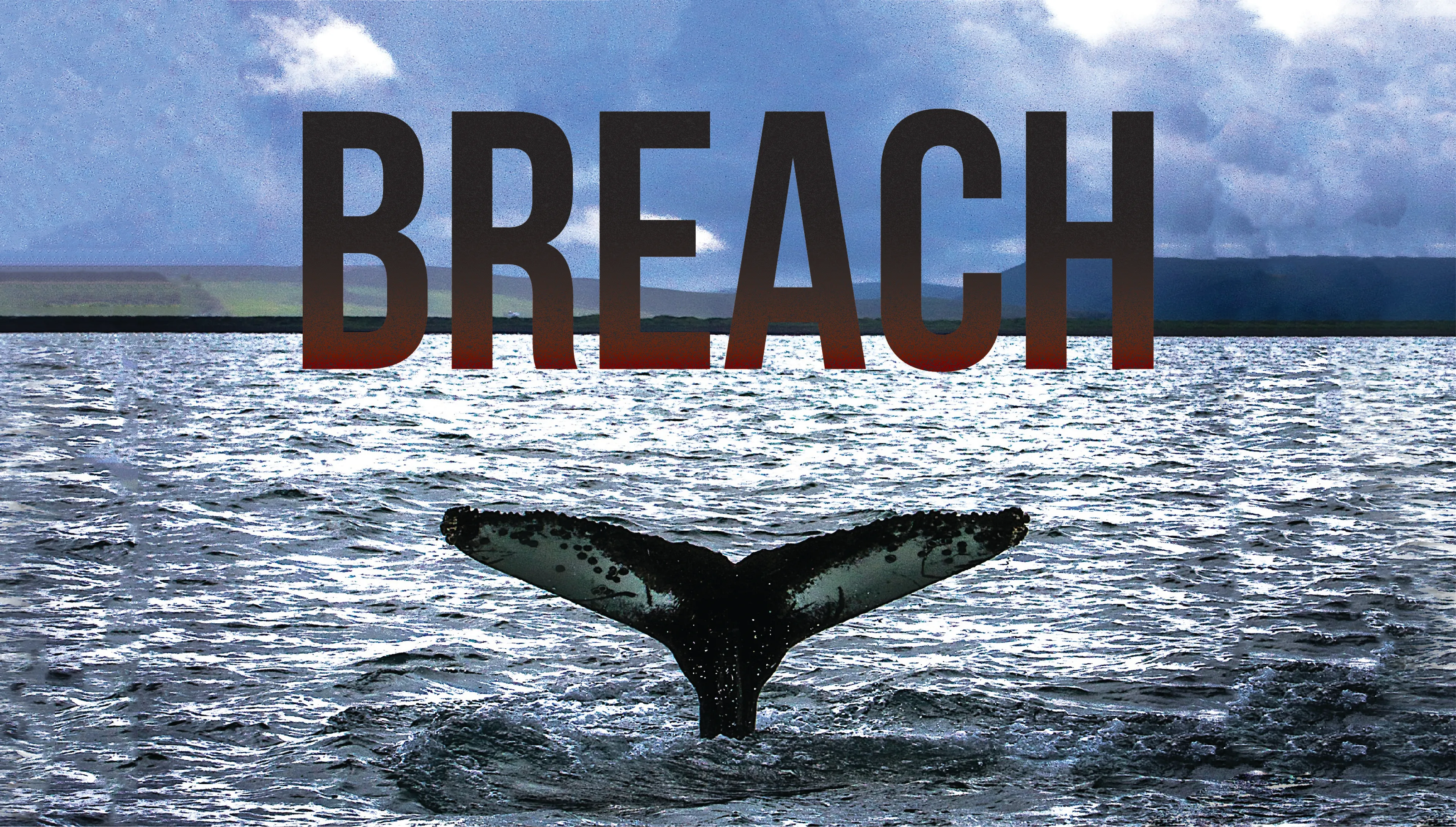 Breach poster